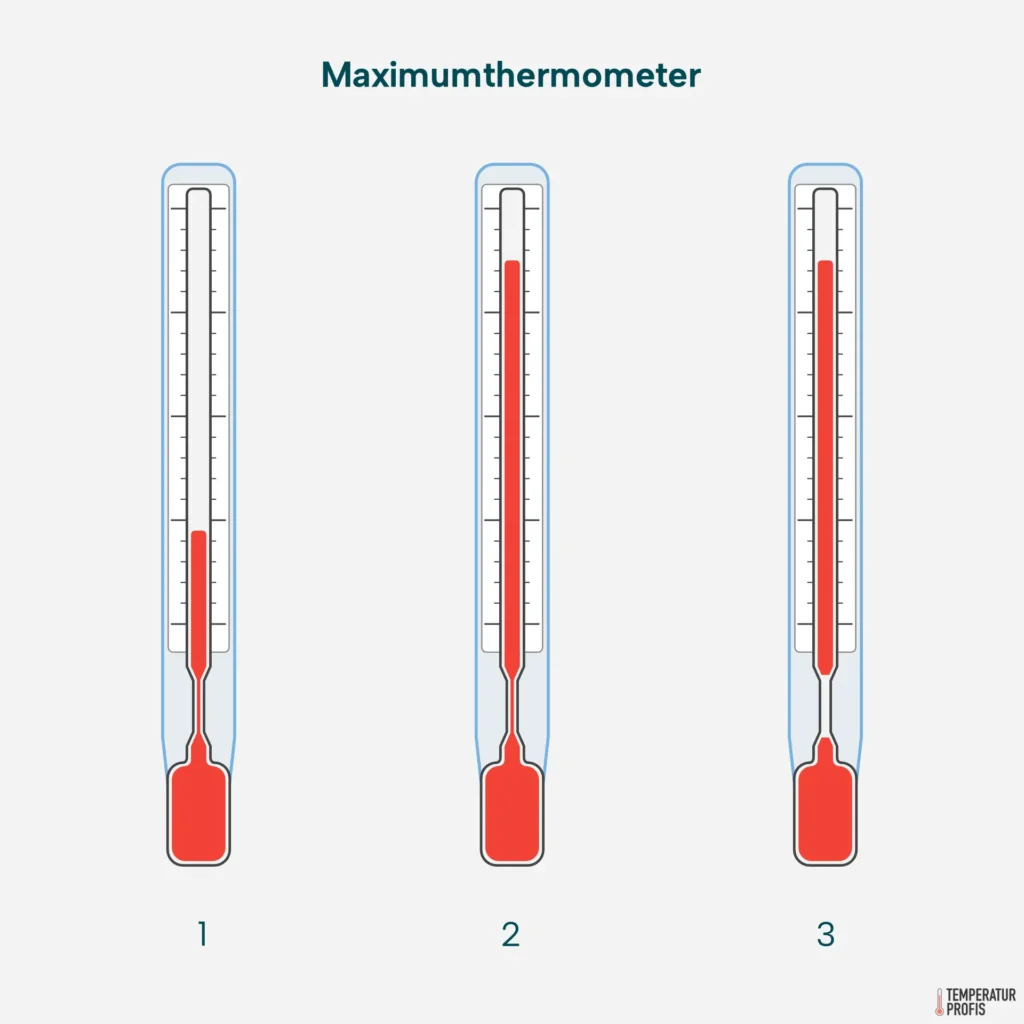 Maximum-Thermometer in drei Zuständen: 1) zurückgesetzt -- 2) bei Höchsttemperatur -- 3) Temperatur fällt wieder, Höchsttemperatur bleibt ablesbar